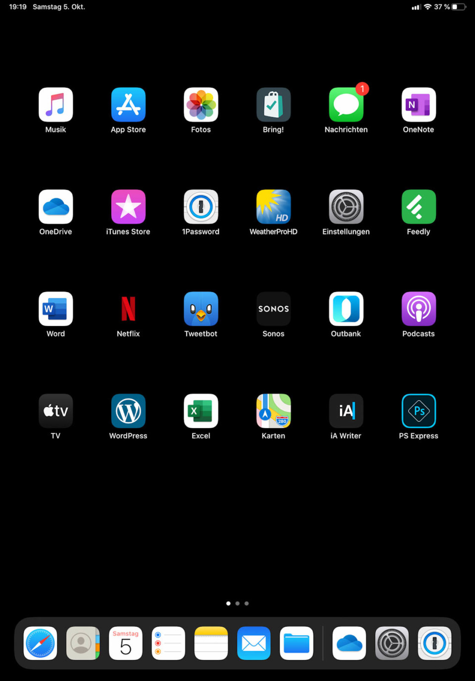 iPad: iPadOS Homescreen mit 6x5 Raster (hochkant)