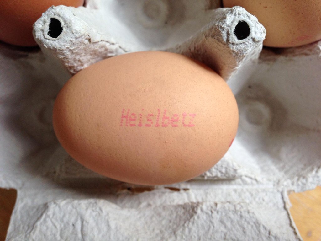 Tweet Image