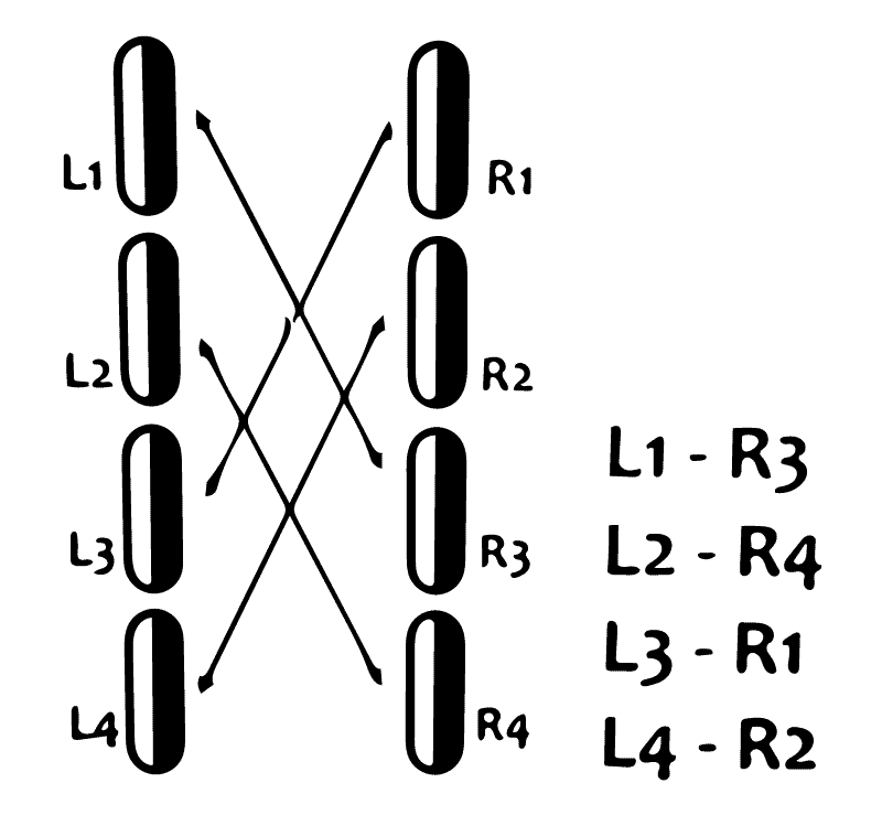 Tweet Image