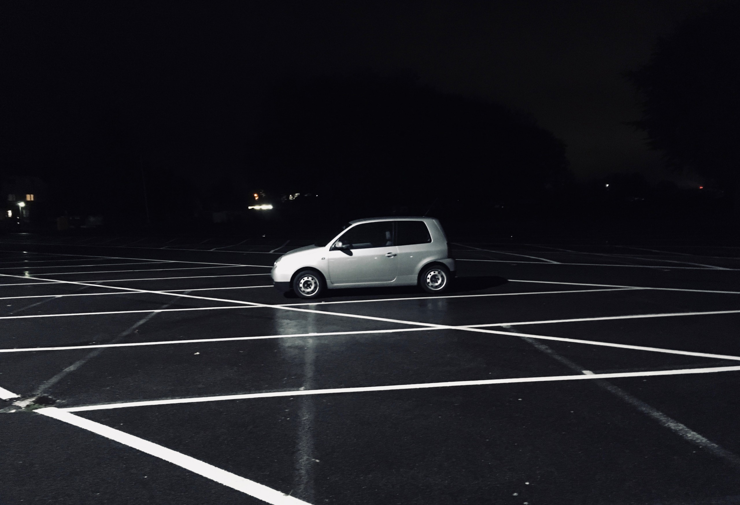 Lupo Einsam Nacht