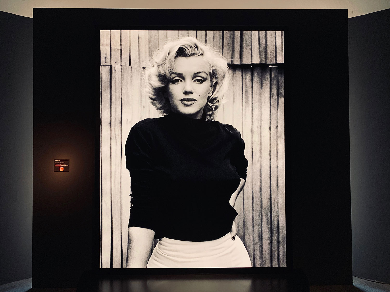 Marylin Monroe – Die Unbekannte