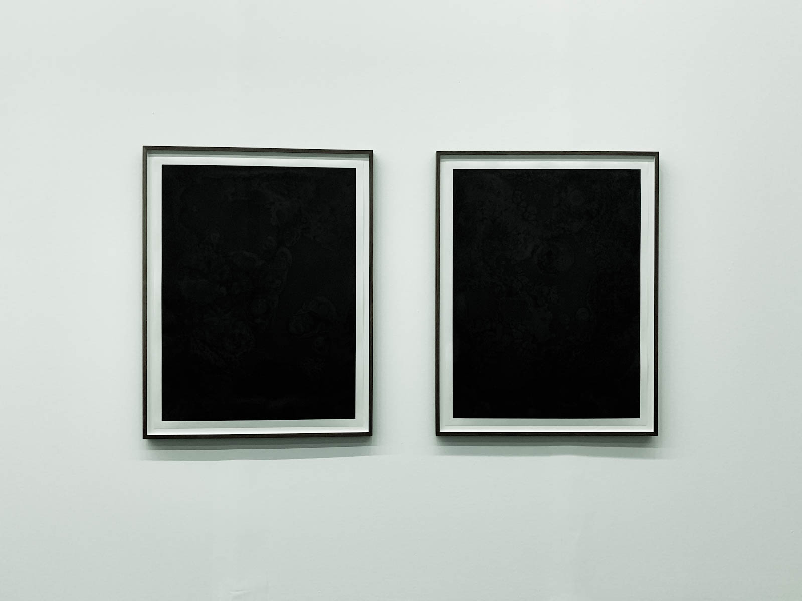 Bilder in Schwarz